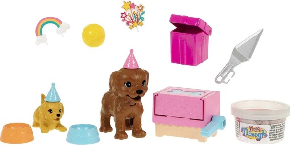 Chiots et nombreux accessoires de fête