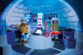 Jeu Playmobil QG des explorateurs polaires 9055, intérieur igloo avec figures et cristaux rouges